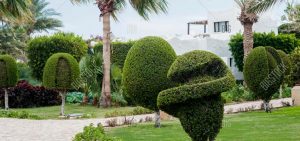 Landscape Design