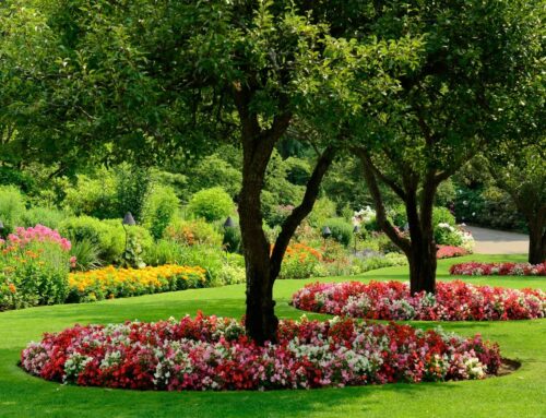 The Importance of Landscape Design in Modern Tree Care