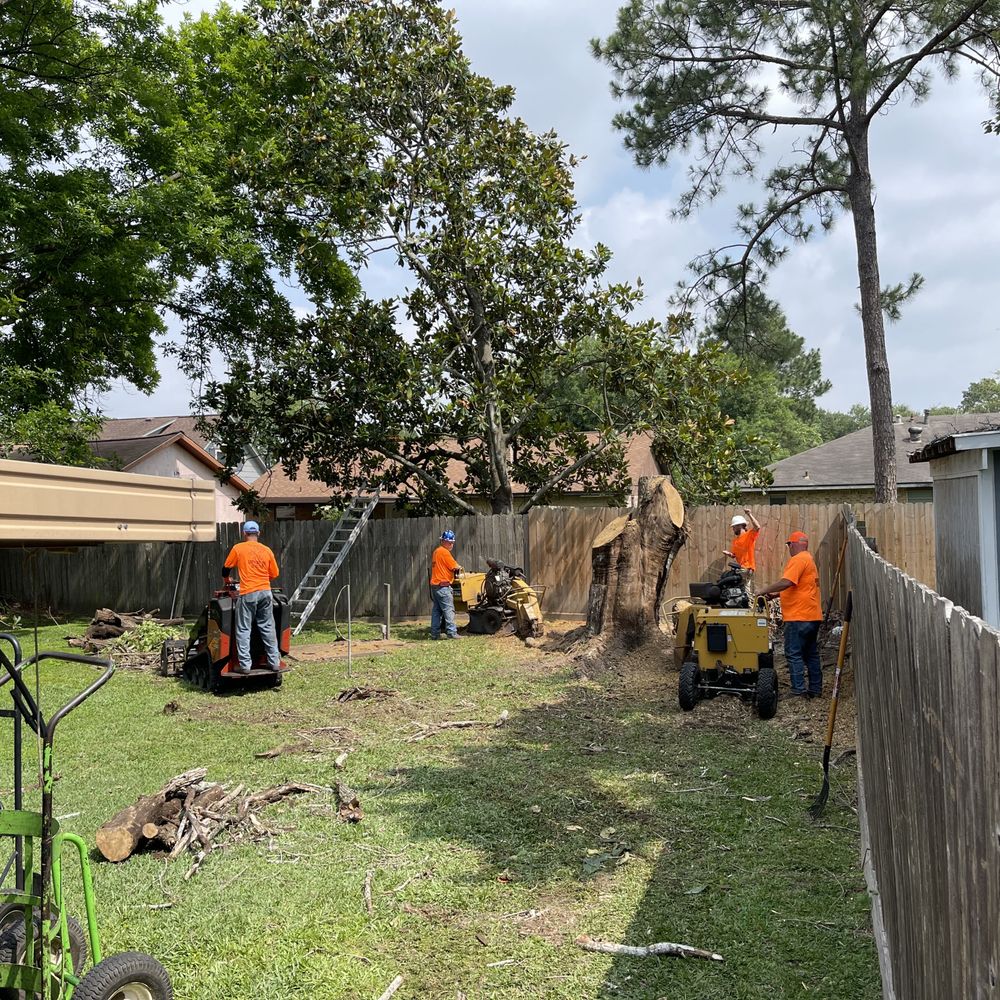 1_lot_and_lawn_clearing