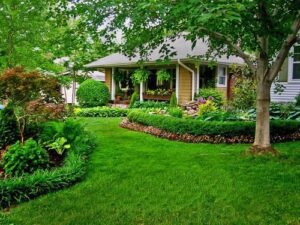 2_landscape_design