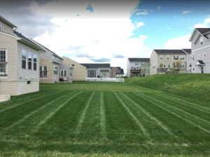 2_lot_and_lawn_clearing