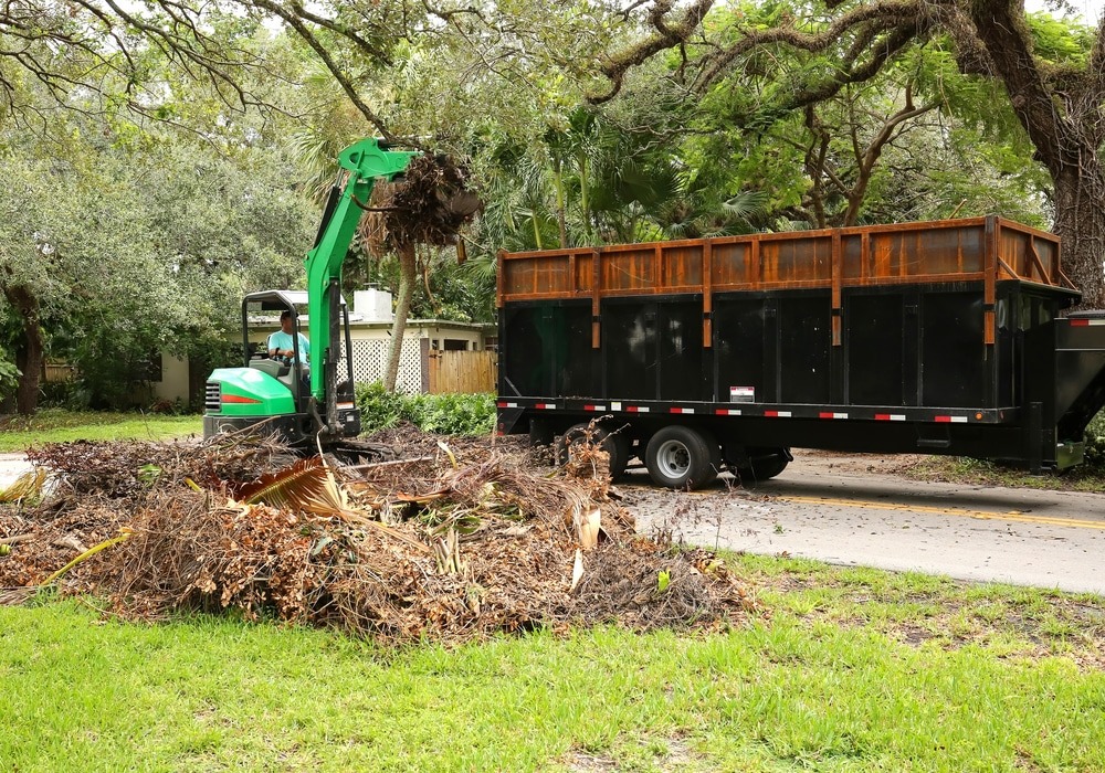 2_storm_cleanup_services