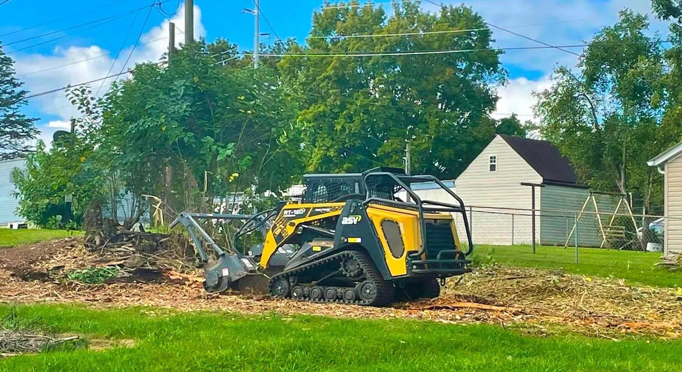 3_lot_clearing