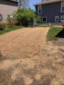 4_lawn_clearing