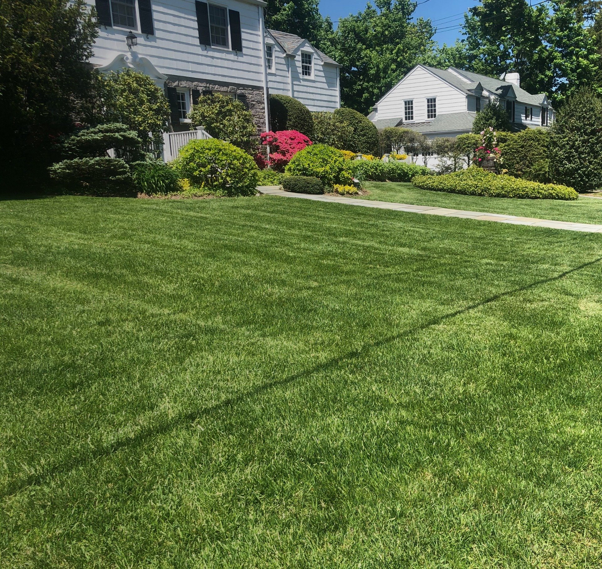 5_lawn_clearing