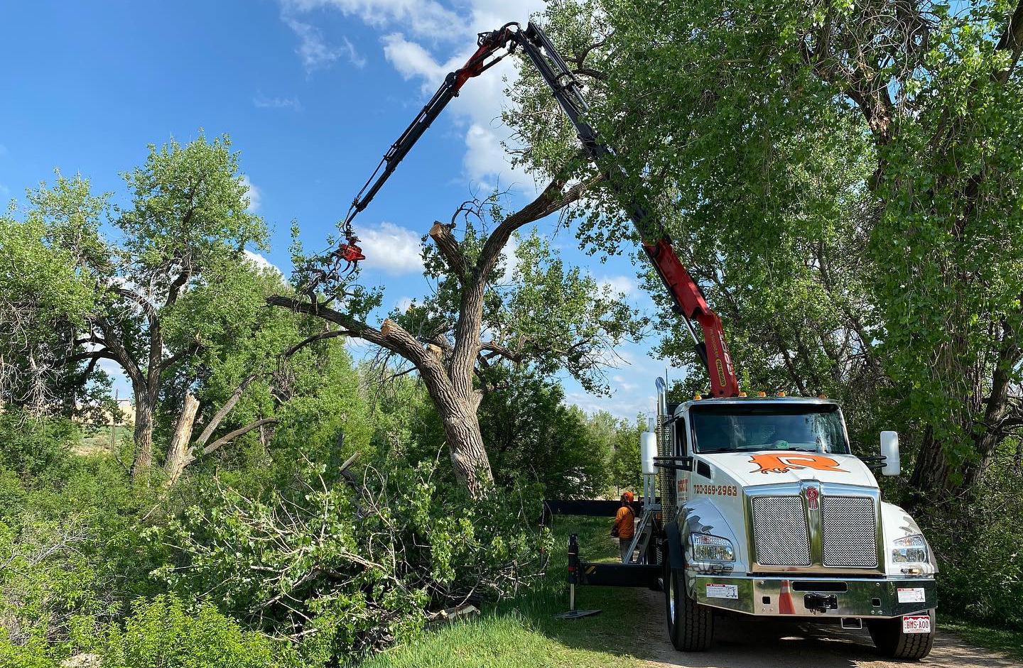 7_tree_service