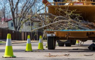 storm damage cleanup Henderson NV