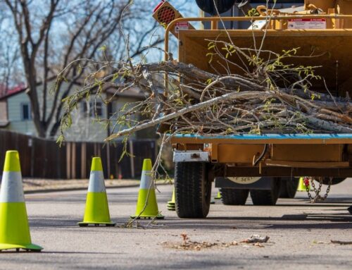 Storm Damage Cleanup: Restore Safety & Protect Your Property