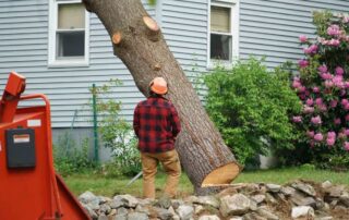 tree cutting service Henderson NV
